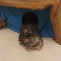 איך להצליח בחיים