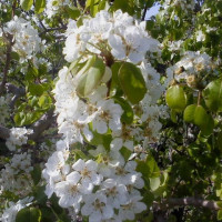 איך להצליח בחיים לעשות אחרת