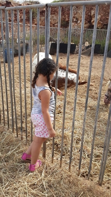 Insights-to-life-Betrayal