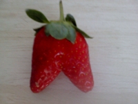 thought-creates-relaity