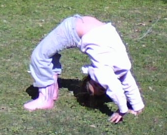 thought-creates-reaity